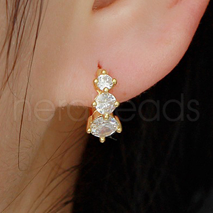 Elegant S925 Sterling Silver Circle Hoop Earrings FR8942-1-1
