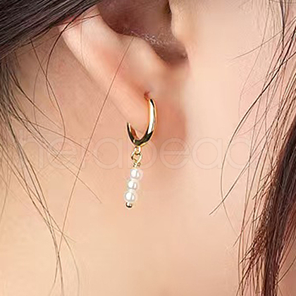 Elegant S925 Sterling Silver Hoop Earrings WJ2570-1-1