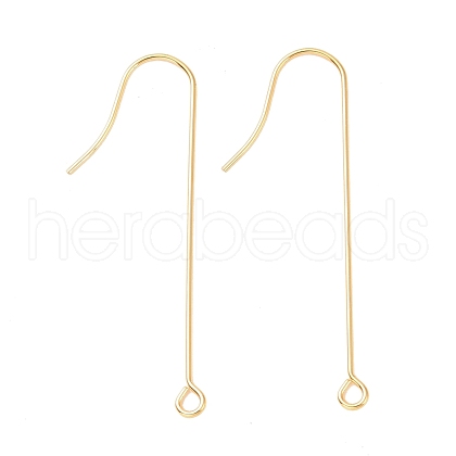 316 Surgical Stainless Steel Earring Hooks STAS-E027-02A-G-1