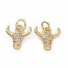 Brass Micro Pave Cubic Zirconia Charms KK-E068-VF058-2