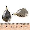 Natural Labradorite Pendants G-U002-01G-A-3