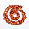 Natural Agate Chip Bead Strands G-M205-47-3