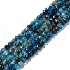 Natural Agate Beads Strands G-Q1000-02G-1