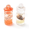 Translucent Resin Pendants RESI-D067-01A-2