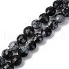 Natural Snowflake Obsidian Beads Strands G-C179-A33-03-2