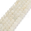 Natural White Moonstone Beads Strands G-D294-8mm-2