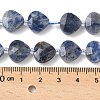 Natural Blue Spot Jasper Beads Strands G-D316-A04-4