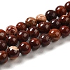 Natural Red Snakeskin Jasper Beads Strands G-H298-A02-02-1