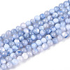 Dyed Natural Trochid Shell/Trochus Shell Beads Strands SSHEL-T017-13M-2
