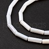 Natural Freshwater Shell Beads Strands SHEL-M018-10-4