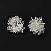 Transparent Resin Cabochons X-RESI-G027-01A-4
