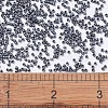 MIYUKI Delica Beads X-SEED-J020-DB0306-4