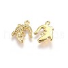 Alloy Pendants TIBEP-A040-015G-NR-2
