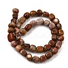 Natural Petrified Wood Beads Strands G-L621-C11-02-3