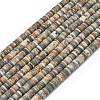 Natural Red Picasso Jasper/Polychrome Jasper Beads Strands G-P575-B10-6x1mm-2