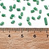 Two Cut Glass Seed Beads CSDB47-3