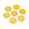 Hawaii Lemon Slice Resin Glitter Powder Pendants X-RESI-R337-5-3