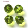 Imitation Austrian Crystal Beads SWAR-F067-10mm-17-1