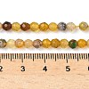 Natural Agate Beads Strands G-H302-A01-14-3