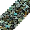 Natural African Turquoise(Jasper) Beads Strands G-M403-A26-02-1