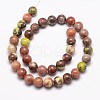 Natural Plum Blossom Jasper Beads Strands G-A163-02-10mm-2