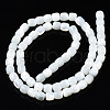 Natural Trochid Shell/Trochus Shell Beads Strands X-SSHEL-N034-121-B01-2