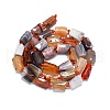 Natural Botswana Agate Beads Strands G-O170-155-2