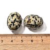 Natural Dalmatian Jasper Multi-Strand Links KK-M304-03P-17-3