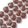 Natural Plum Blossom Jasper Beads Strands G-P570-E02-02-2