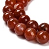 Dyed Natural Agate Beads Strands G-G203-10L-12mm-4