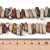 Natural Polychrome Jasper/Picasso Stone/Picasso Jasper Beads Strands G-T140-63-5