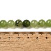 Dyed Natural Malaysia Jade Beads Strands G-G021-02B-14-3