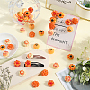 SUNNYCLUE 48Pcs 6 Styles Opaque Resin Imitation Food Decoden Cabochons CRES-SC0002-84-4