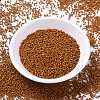 MIYUKI Delica Beads SEED-X0054-DB2108-1