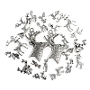 Tibetan Style Alloy Pendants TIBE-CJ0001-06-RS-3