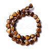 Natural Tiger Eye Beads Strands G-B022-05-2