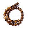 Natural Tiger Eye Beads Strands G-B022-05-2