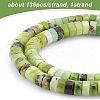 Olycraft 1 Strand Natural Serpentine Beads Strands G-OC0003-10-3