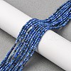 Natural Lapis Lazuli Beads Strands G-RM250104-D8-2