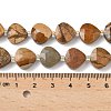 Natural Picture Jasper Beads Strands G-D316-A06-4