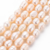 Natural Cultured Freshwater Pearl Beads Strands PEAR-S012-41E-2