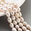 Natural Cultured Freshwater Pearl Beads Strands PEAR-P062-18-1