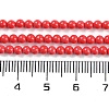 Synthetic Turquoise Beads Strands G-U004-02H-5