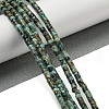 Natural African Turquoise(Jasper) Beads Strands X-G-C084-D03-02-2