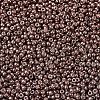 MIYUKI Round Rocailles Beads X-SEED-G007-RR1085-3