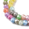 Handmade Lampwork Beads Strands LAMP-R020-02A-3