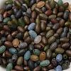 Transparent Colours Glass Seed Beads X-SEED-F006-03A-03-3