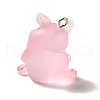 Translucent Resin Pendants RESI-E031-01P-03-2