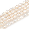 Natural Cultured Freshwater Pearl Beads Strands PEAR-P064-20G-01A-2