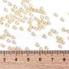TOHO Round Seed Beads X-SEED-TR08-0770-3